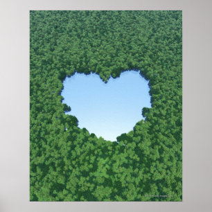 Póster Lago Coração-Dado forma