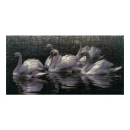 Póster Lago de Cisnes ao Luar