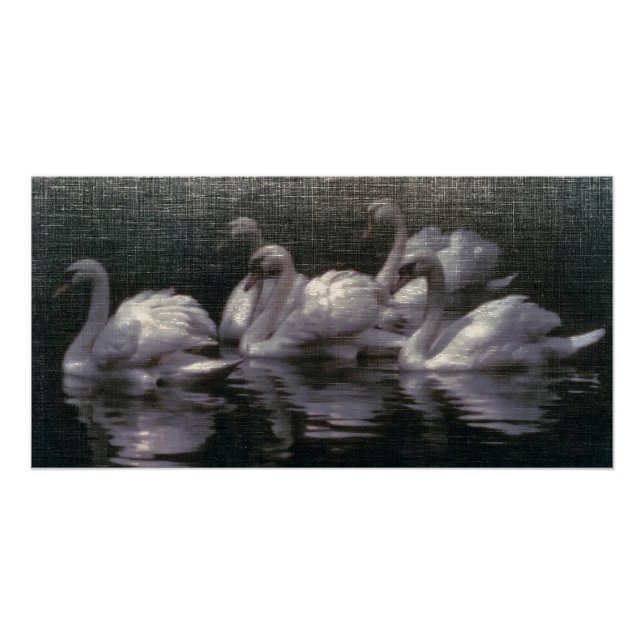Póster Lago de Cisnes ao Luar (Frente)