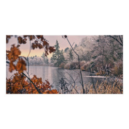 Póster Lago de Deer Congelado.