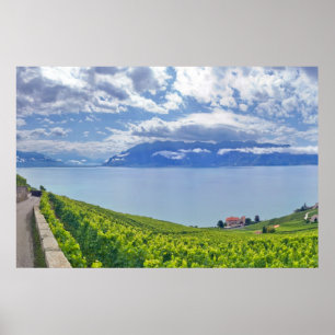 Poster Lago de Genebra (Lac Léman) 009