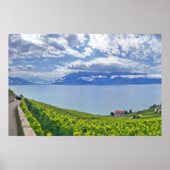 Poster Lago de Genebra (Lac Léman) 009 (Frente)