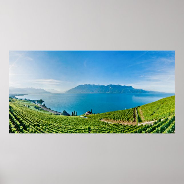 Poster Lago de Genebra (Lac Léman) 017 (Frente)