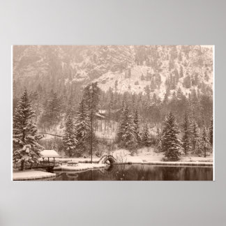 Póster Lago de inverno