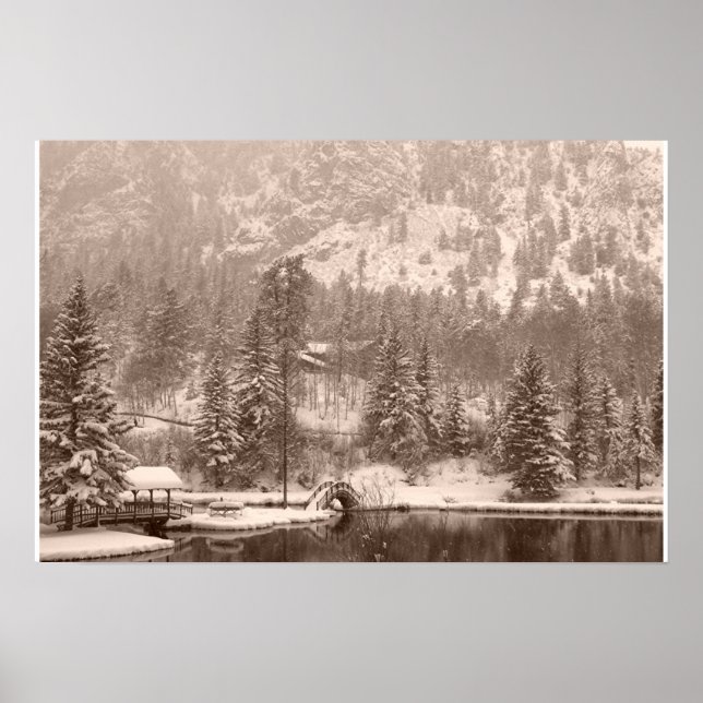 Póster Lago de inverno (Frente)