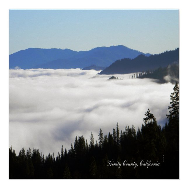 Póster Lago de Nevoeiro através de árvores... (Frente)