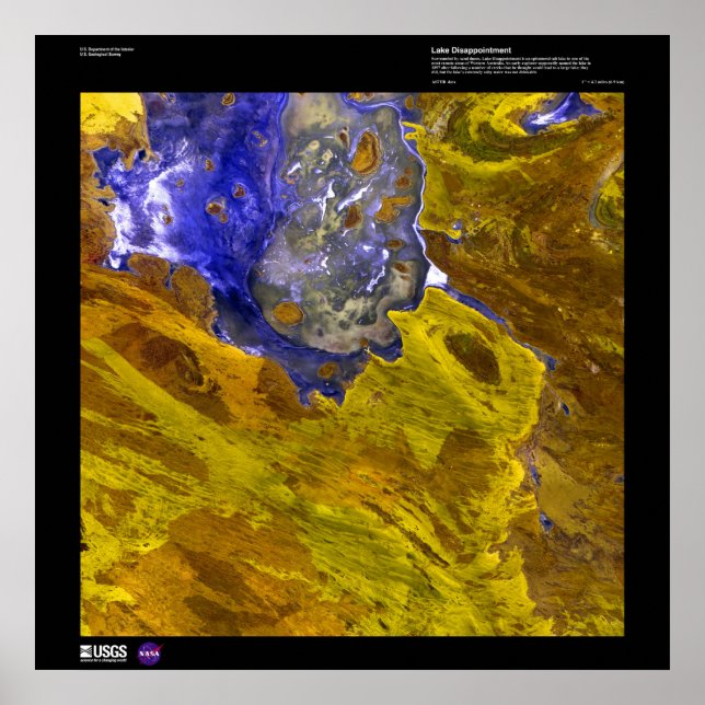 Poster Lago Dissapointment (Frente)