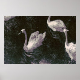 Poster Lago dos Cisnes ao Luar