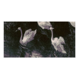 Póster Lago dos Cisnes ao Luar