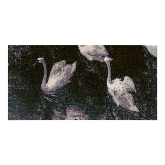 Póster Lago dos Cisnes ao Luar (Frente)
