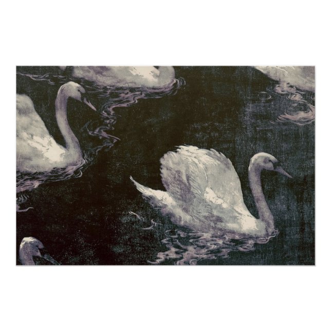 Póster Lago dos Cisnes ao Luar (Frente)