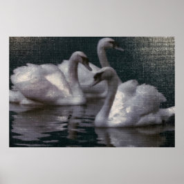 Poster Lago dos Cisnes ao Luar