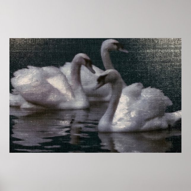 Poster Lago dos Cisnes ao Luar (Frente)