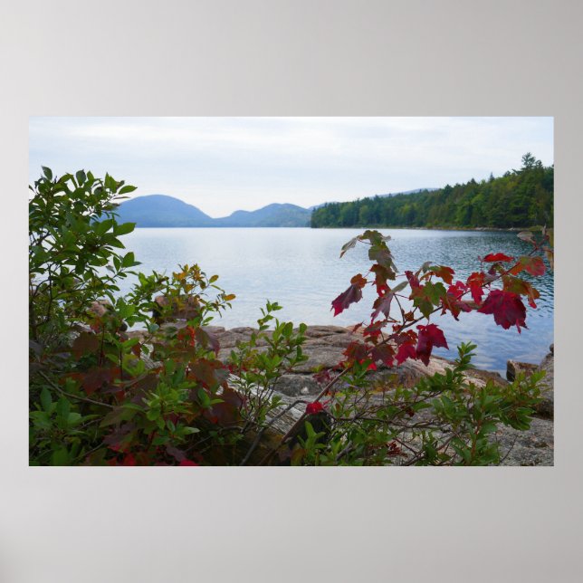 Poster Lago Eagle e Folhas de Bordo Vermelho I (Frente)