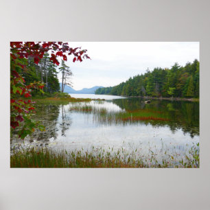 Poster Lago Eagle e Folhas Vermelhas de Maple II