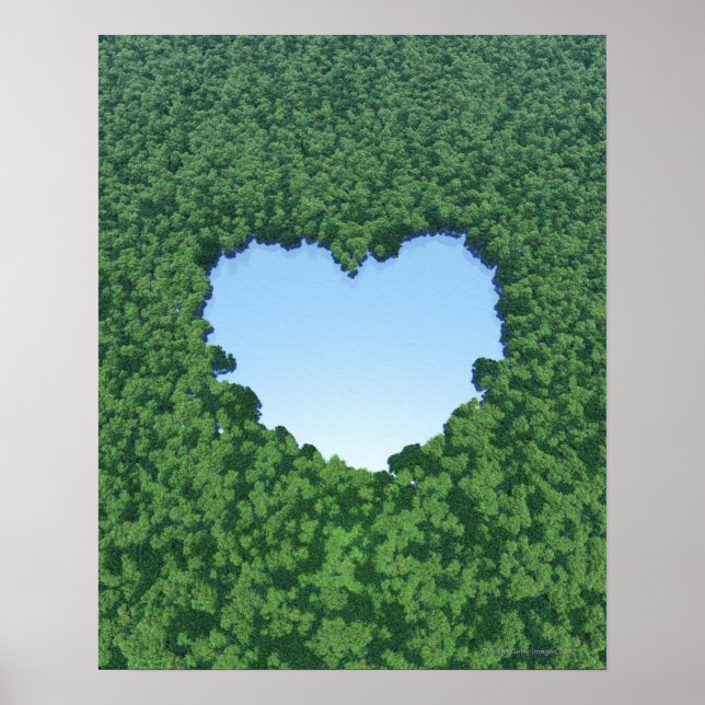 Póster Lago em forma de coração (Frente)