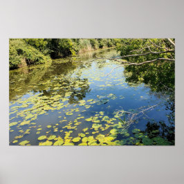 Poster Lago Erie Metropark River View