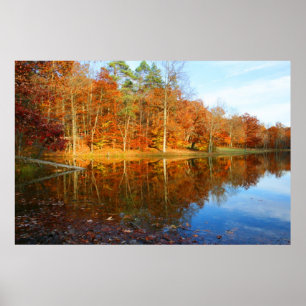 Póster Lago Fall