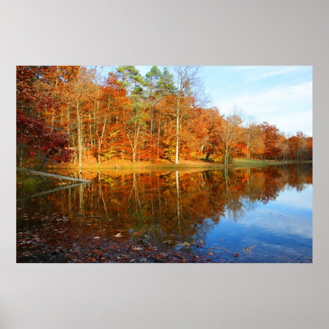 Póster Lago Fall (Frente)