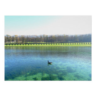 Póster Lago Forest. Vai para a água.