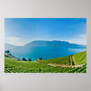 Póster Lago Genebra (laca Léman) 007