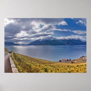 Poster Lago Genebra (laca Léman) 011