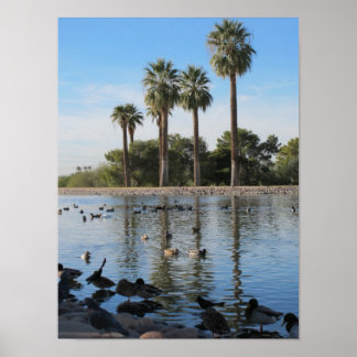 Póster Lago Granada em Phoenix, Arizona