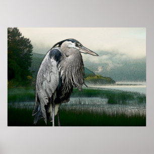 Póster Lago heron