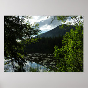 Poster Lago Johns I no Parque Nacional Glacier