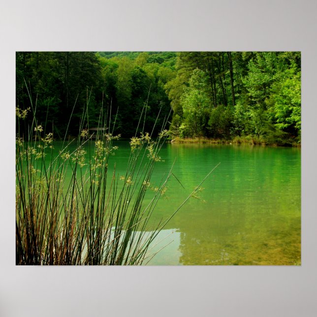 Poster Lago Limpo (Frente)