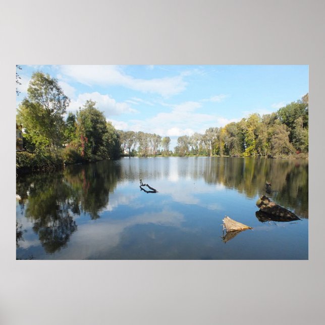 Póster Lago Lined de Árvore (Frente)