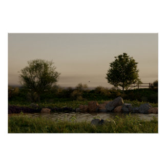 Póster Lago Meadow