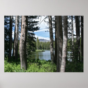 Póster Lago Montanha, Floresta
