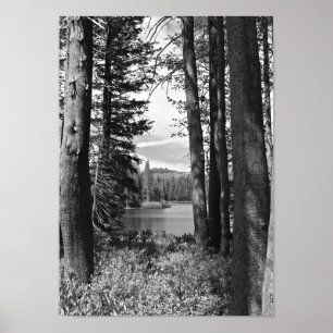 Póster Lago mountain, floresta, preto e branco (retrato)