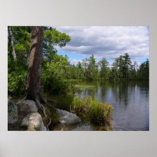 Póster lago nelligan