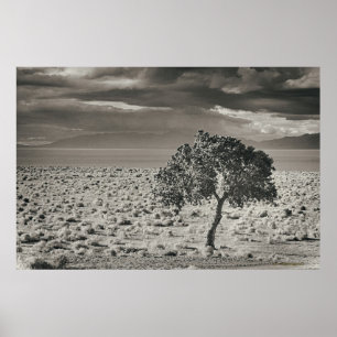 Poster Lago pyramid, Nevada 2