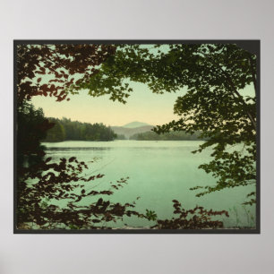 Póster Lago superior loon, Adirondacks, New York