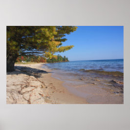 Poster Lago Superior, Parque Brunette no Outono
