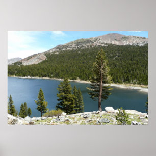 Póster Lago Tenaya no Parque Nacional de Yosemite