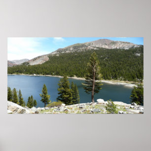 Póster Lago Tenaya no Parque Nacional de Yosemite