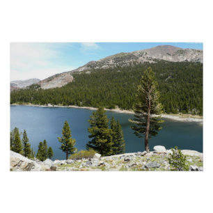 Póster Lago Tenaya no Parque Nacional de Yosemite