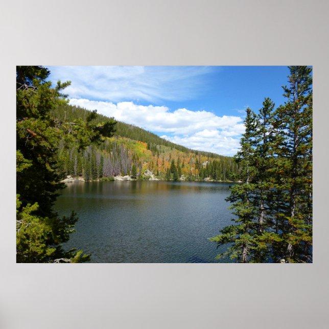 Poster Lago Urso no Parque Nacional de Rocky Mountain (Frente)