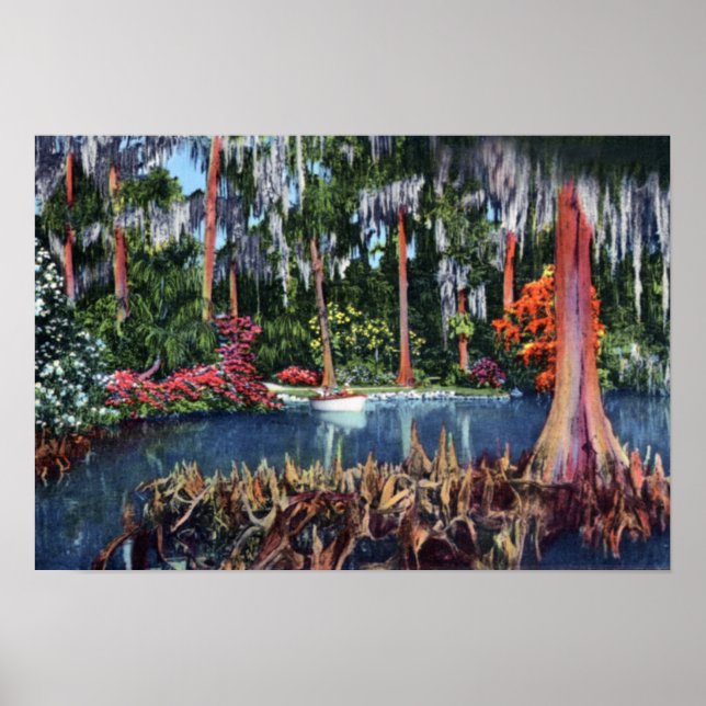 Póster Lago Wales Florida Cypress Swamp and Boat (Frente)