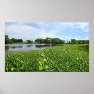 Póster Lagoa da herdade