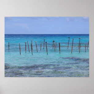 Poster Lagoa de Rangiroa