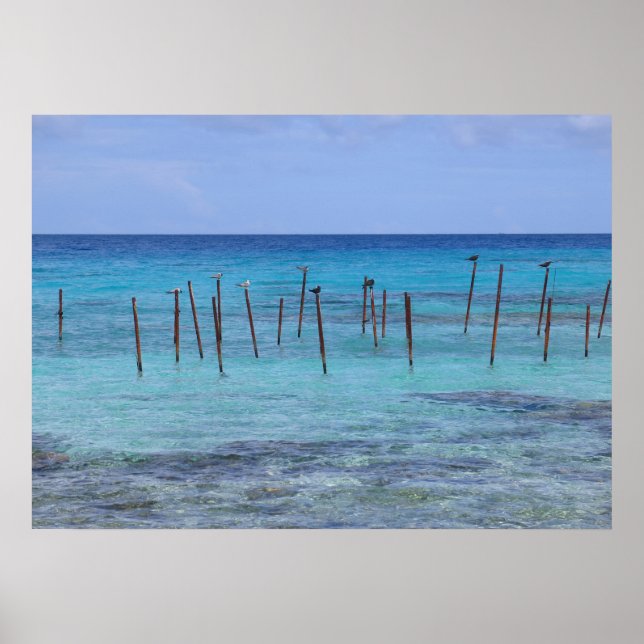 Poster Lagoa de Rangiroa (Frente)