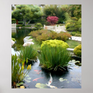 Poster Lagoa japonesa do jardim com Koi