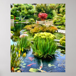 Póster Lagoa japonesa do jardim com Koi HDR o 10 de julho