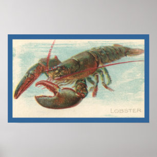 Póster Lagosta