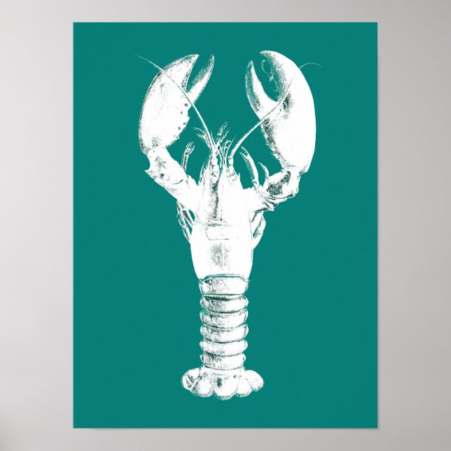 Poster Lagosta Branca em Turquesa/Teal (Frente)